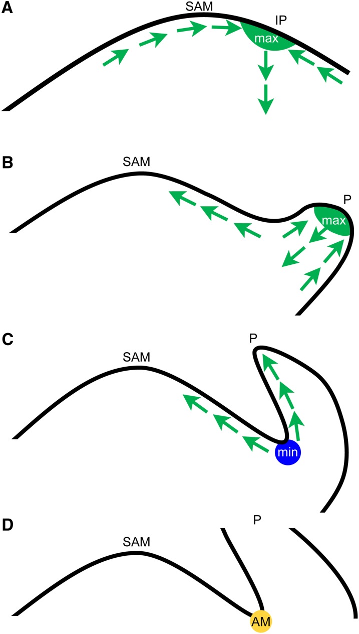 Figure 7.