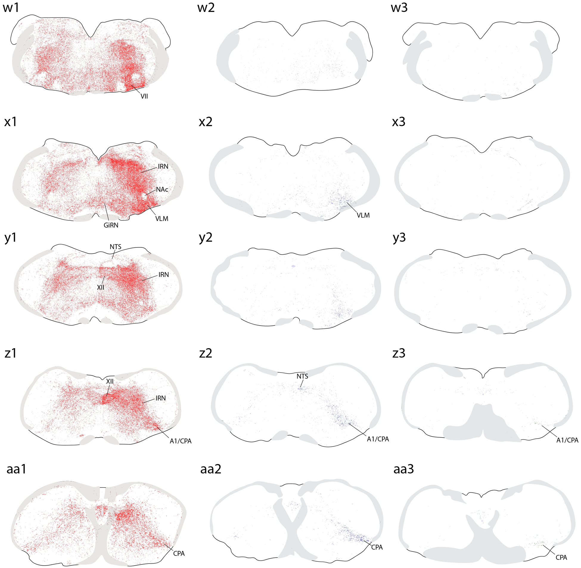 Figure 5.