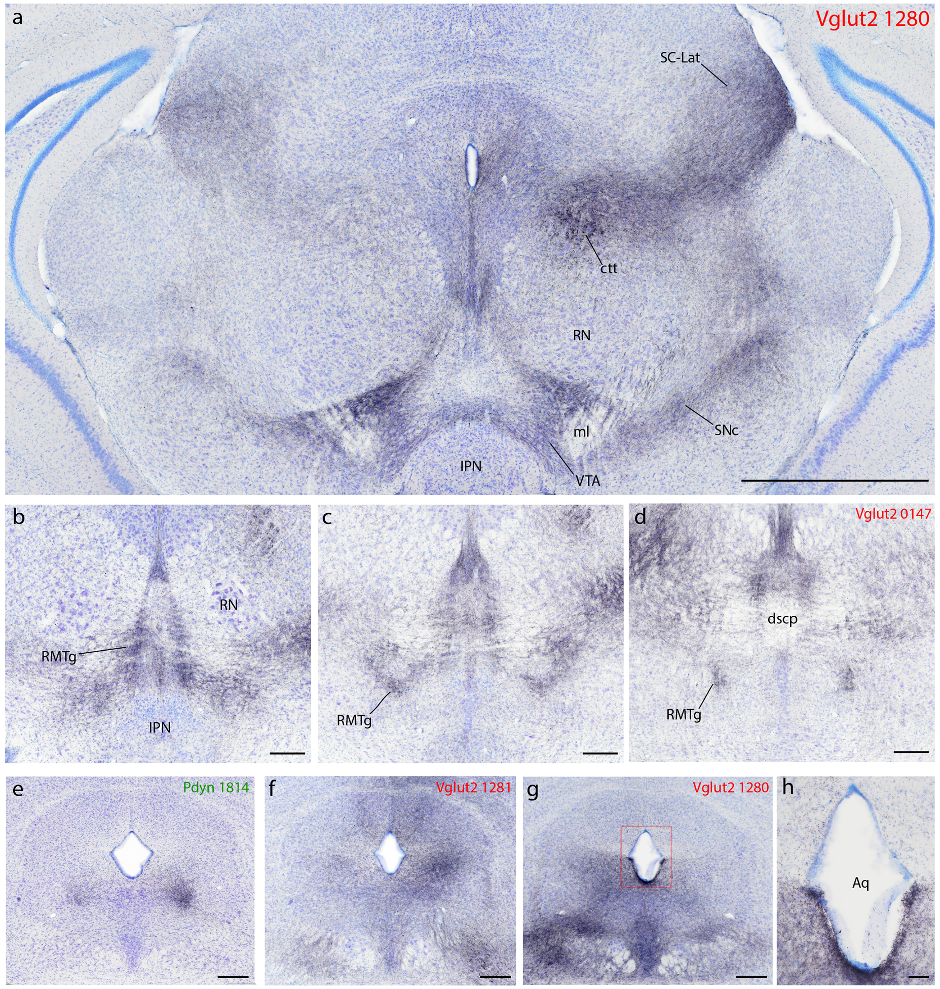 Figure 13.