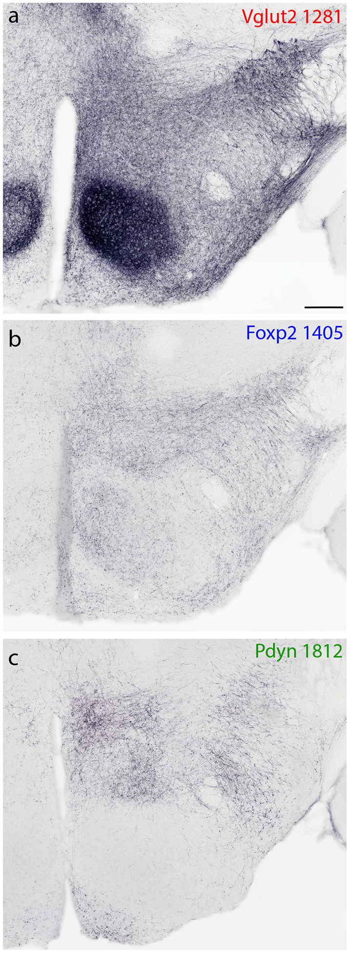 Figure 11.