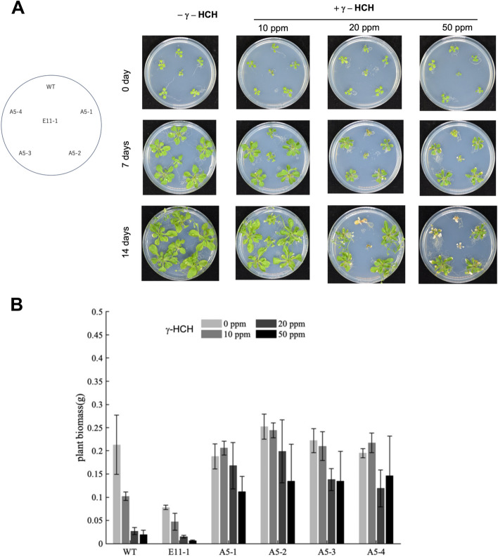 Fig. 4