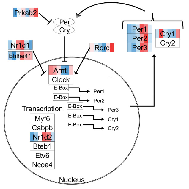 Figure 2.