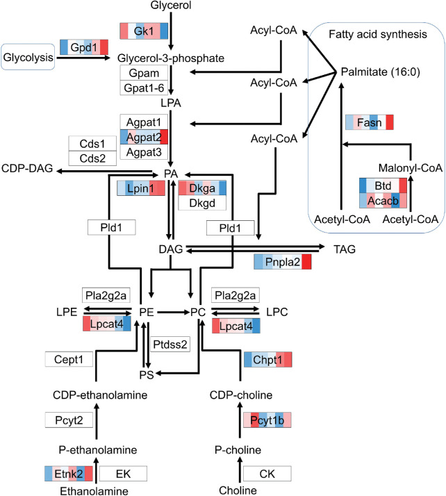 Figure 7.