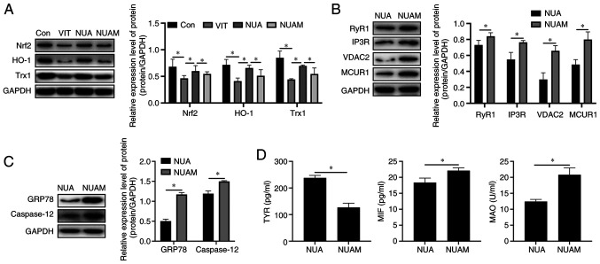 Figure 5.