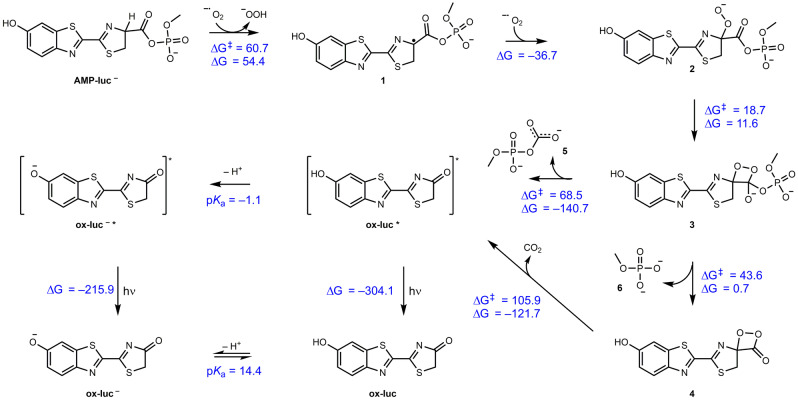 Scheme 3