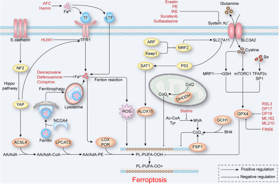 FIGURE 2