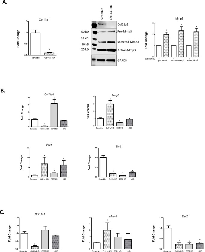 Figure 6.