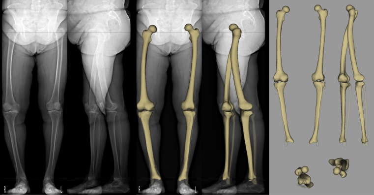 Fig. 7