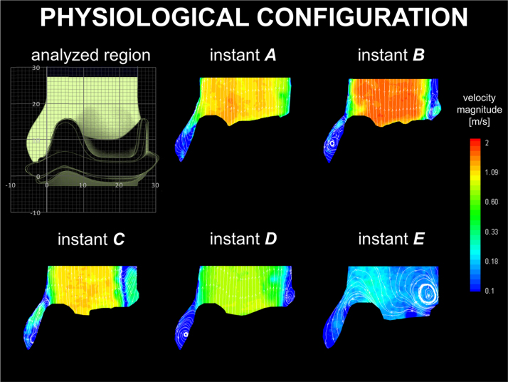 Fig. 3.