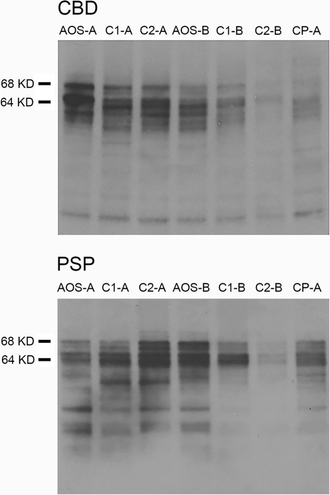 Fig. 8