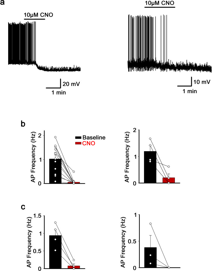 Figure 2—figure supplement 3.