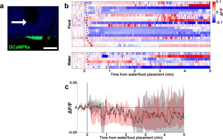 Figure 2—figure supplement 2.