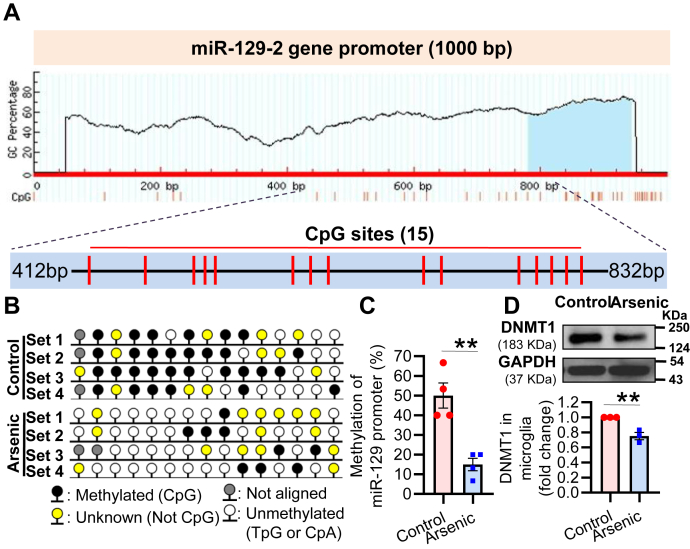 Figure 4