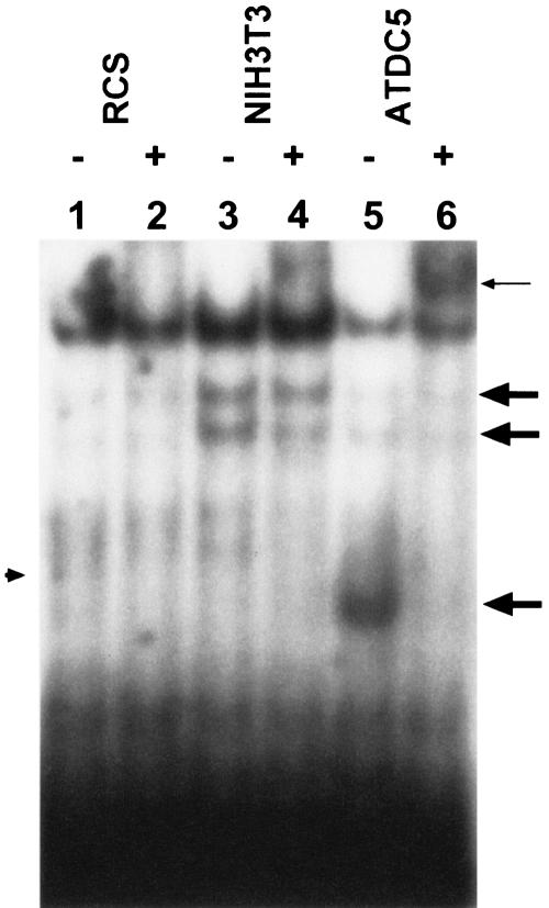 FIG. 1D.