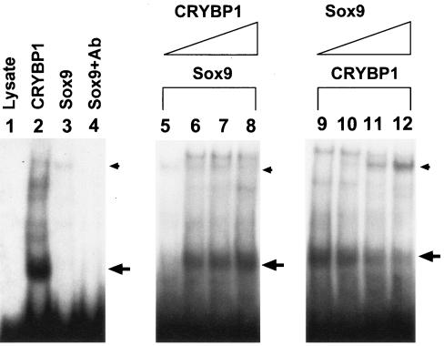 FIG. 7.