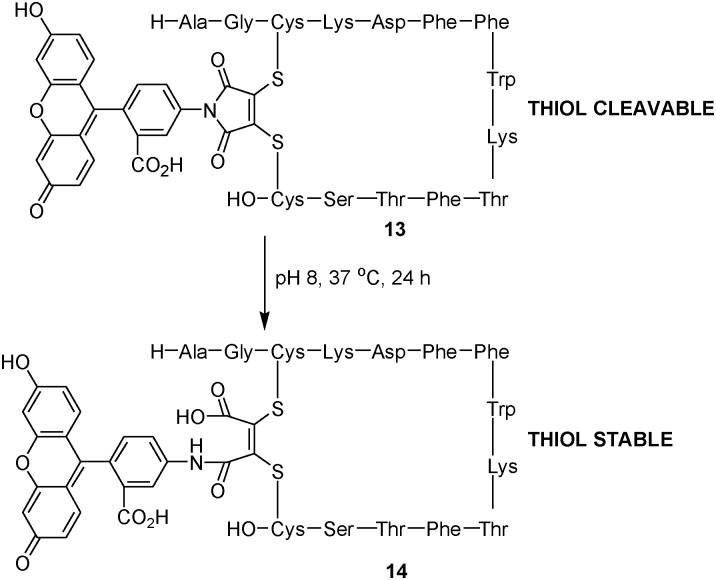 Scheme 4