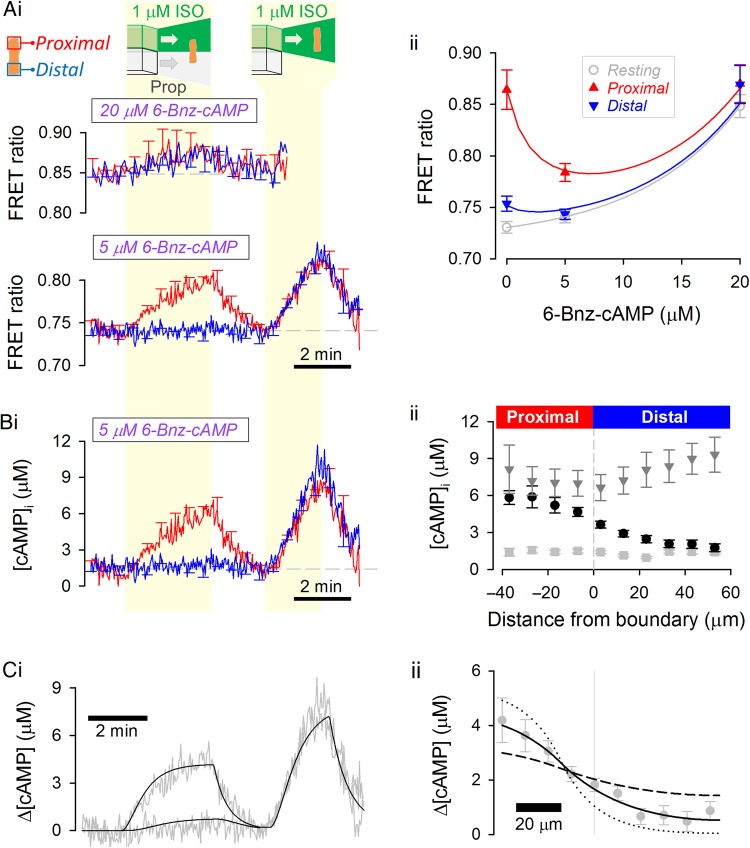 Figure 5