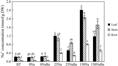 Figure 6.