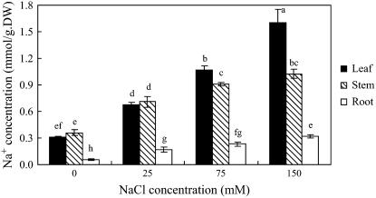 Figure 10.