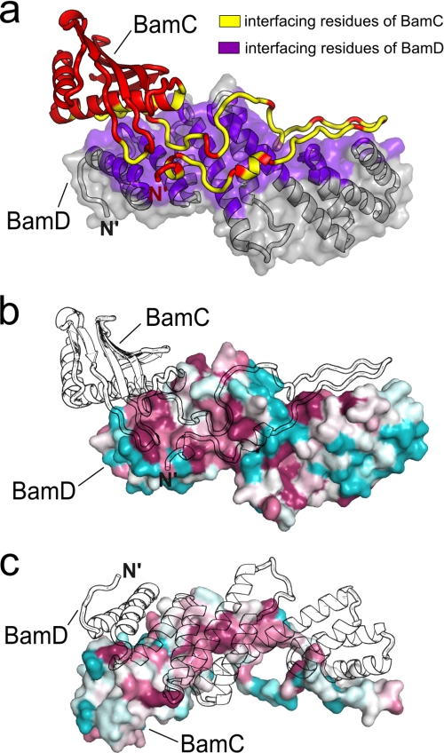 FIGURE 3.