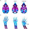 Figure 3: