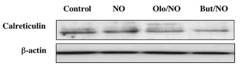 Fig. (8)