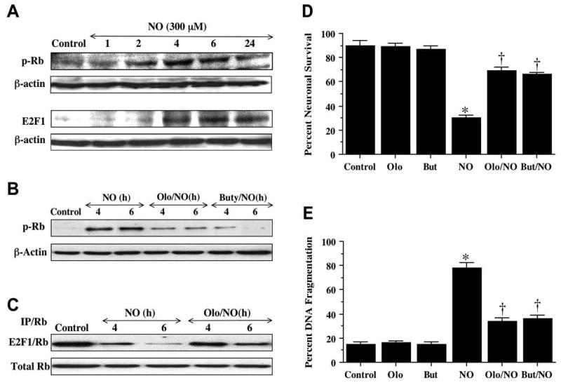 Fig. (7)