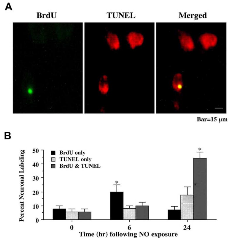 Fig. (2)