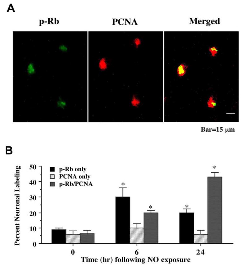 Fig. (3)