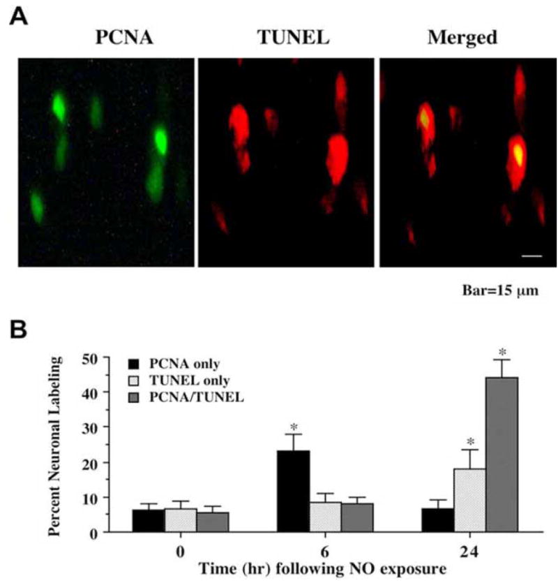 Fig. (1)