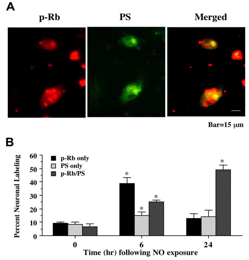 Fig. (5)