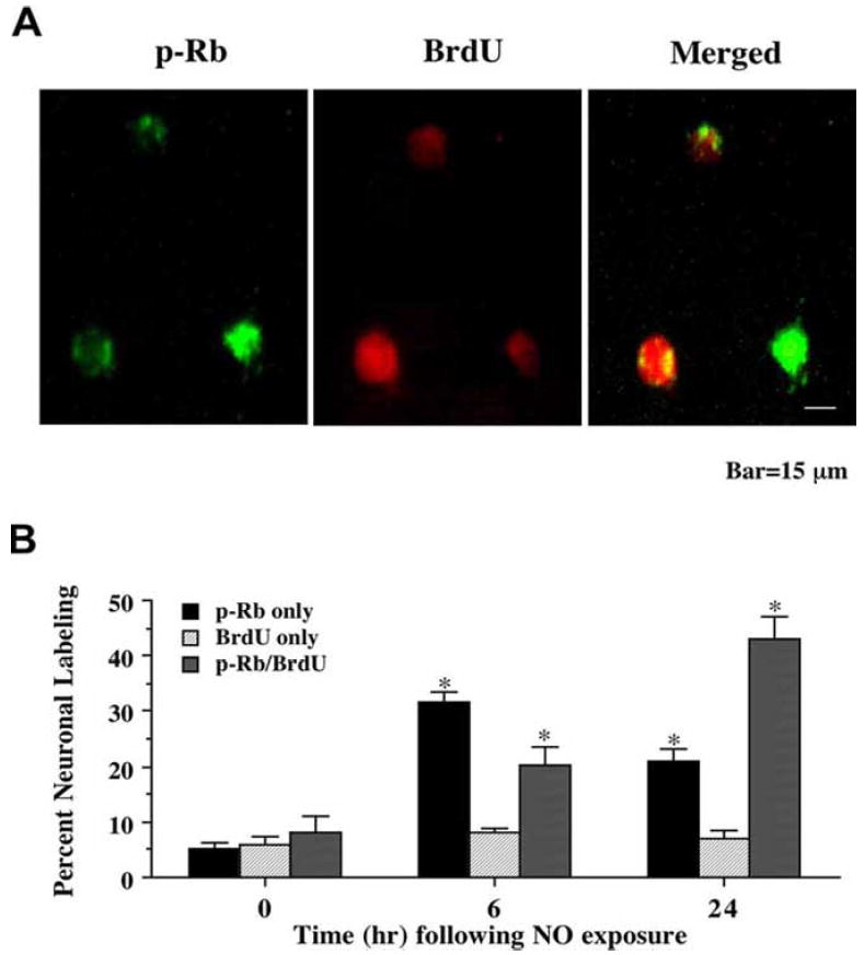 Fig. (4)