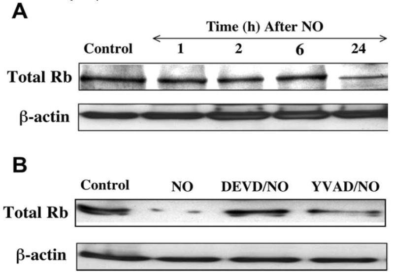 Fig. (9)