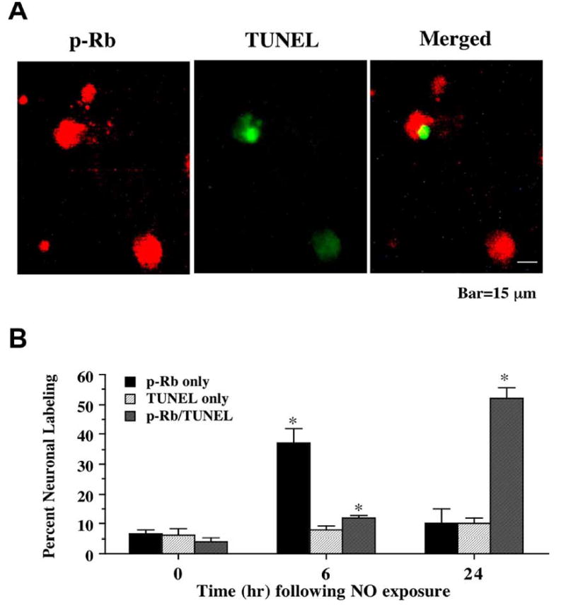 Fig. (6)