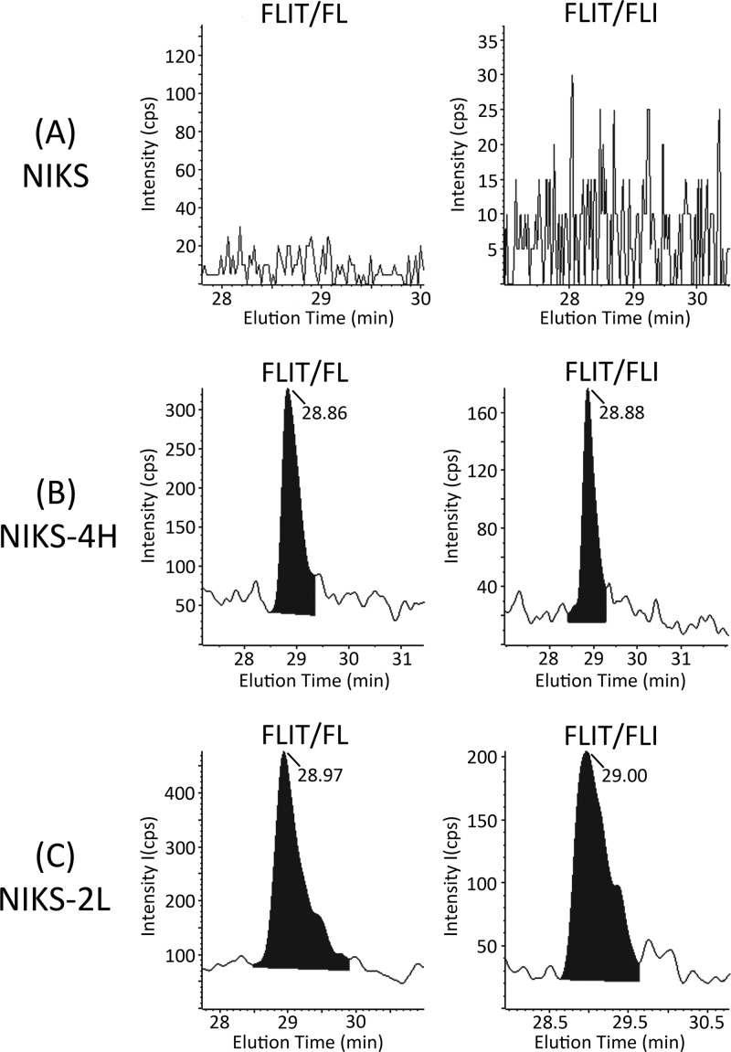 Fig 8