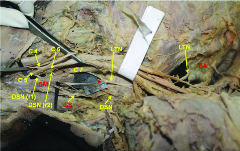 [Table/Fig-1]: