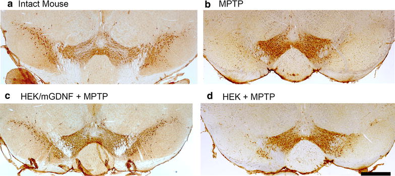 Fig. 4