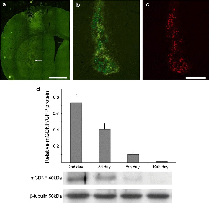 Fig. 6