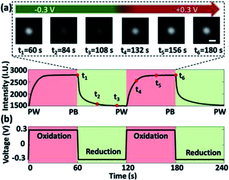 Fig. 3