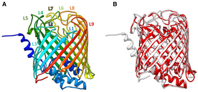 Figure 7