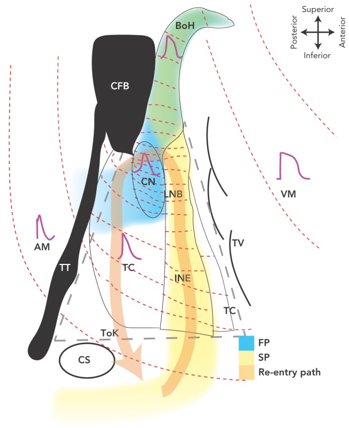 Figure 5: