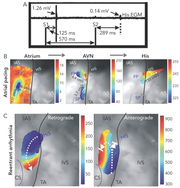 Figure 4: