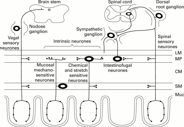 Figure 1  