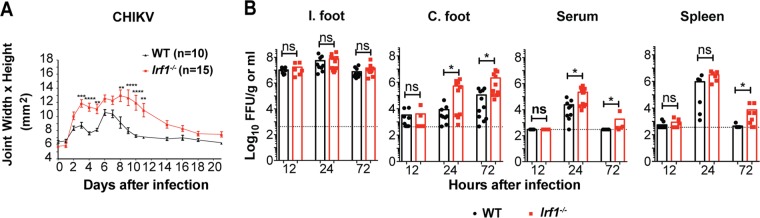 FIG 1