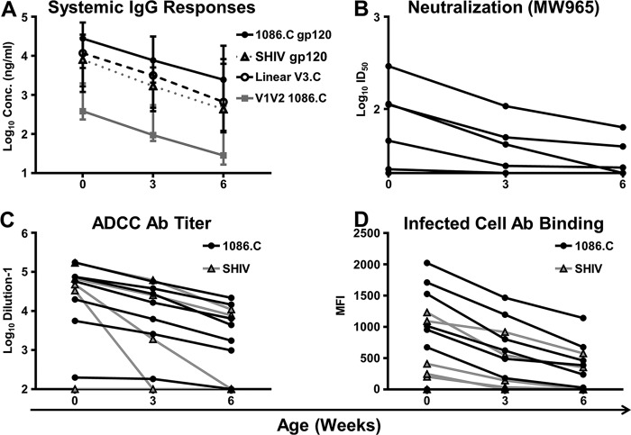 FIG 6 