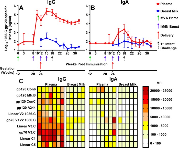 FIG 2 