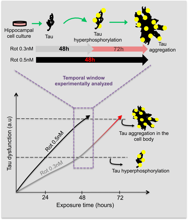 Fig. 2