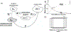 Figure 5: