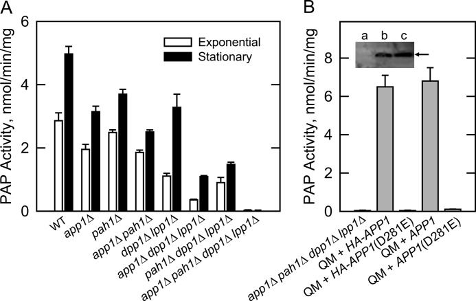 FIGURE 4.