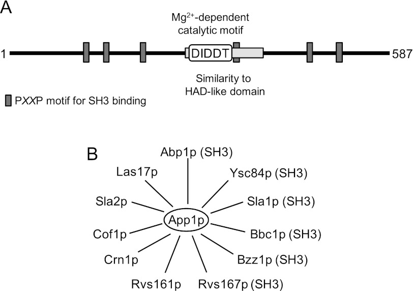 FIGURE 2.